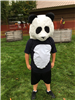 A teenager in a panda costume